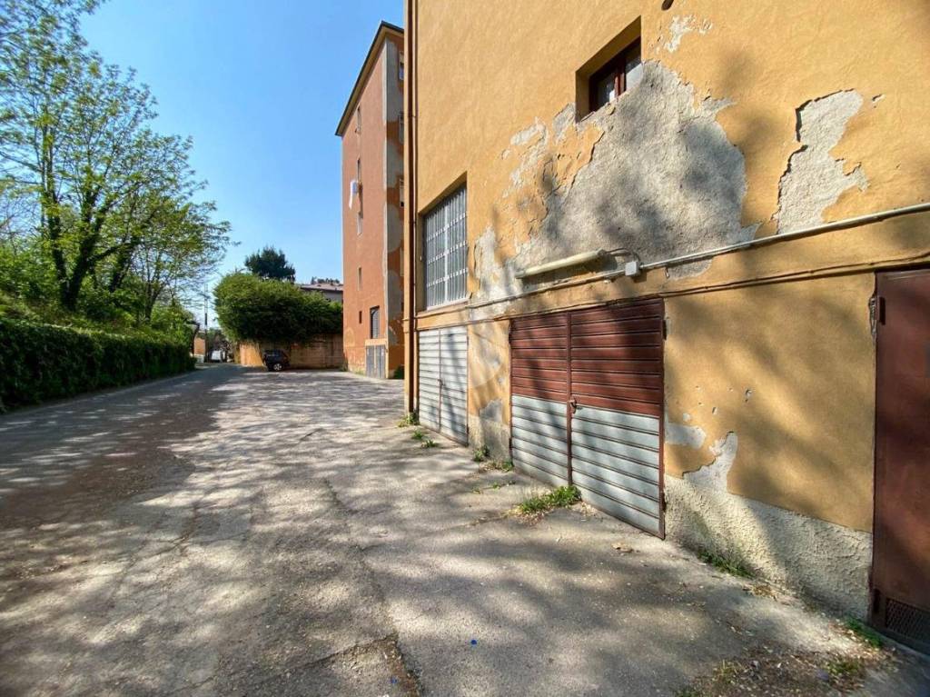 immagine annuncio 5 di 12