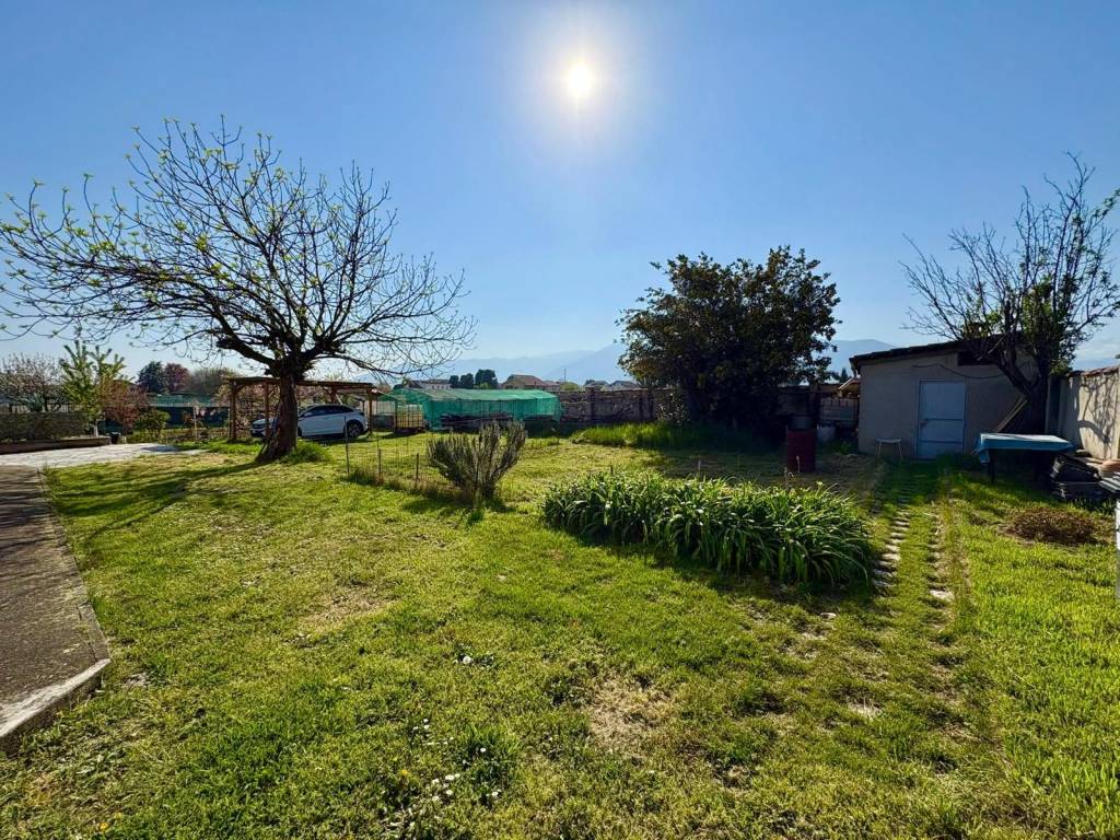 immagine annuncio 1 di 11