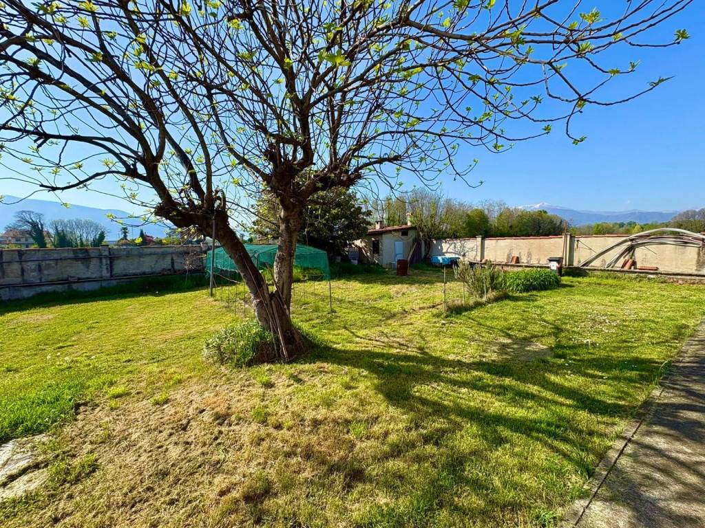 immagine annuncio 9 di 11