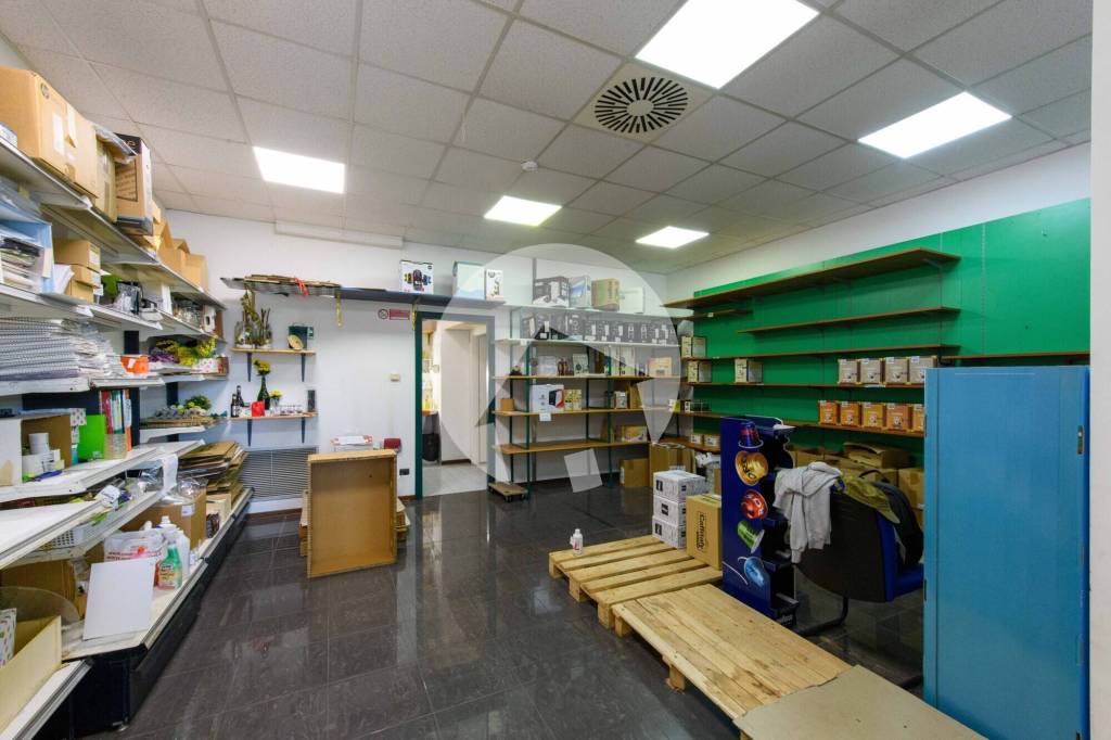 immagine annuncio 5 di 11