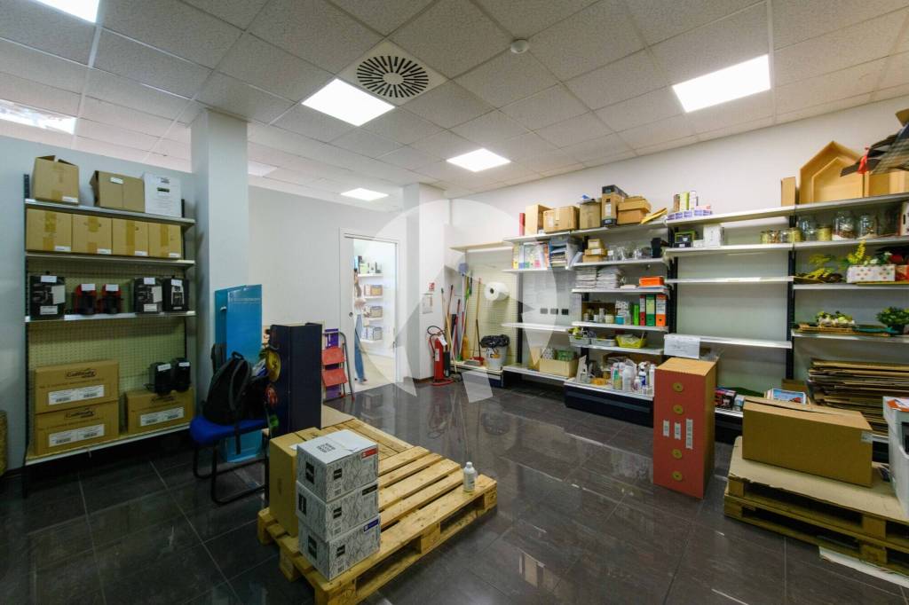 immagine annuncio 6 di 11