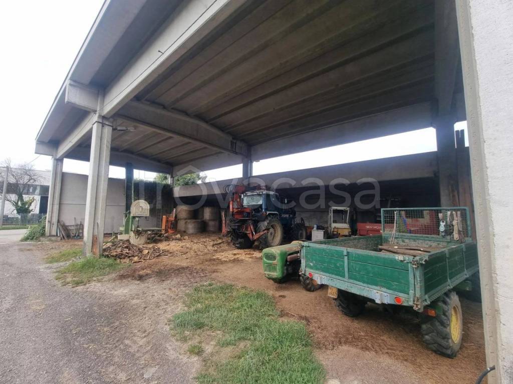 immagine annuncio 2 di 11