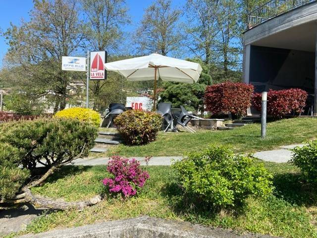 immagine annuncio 6 di 13