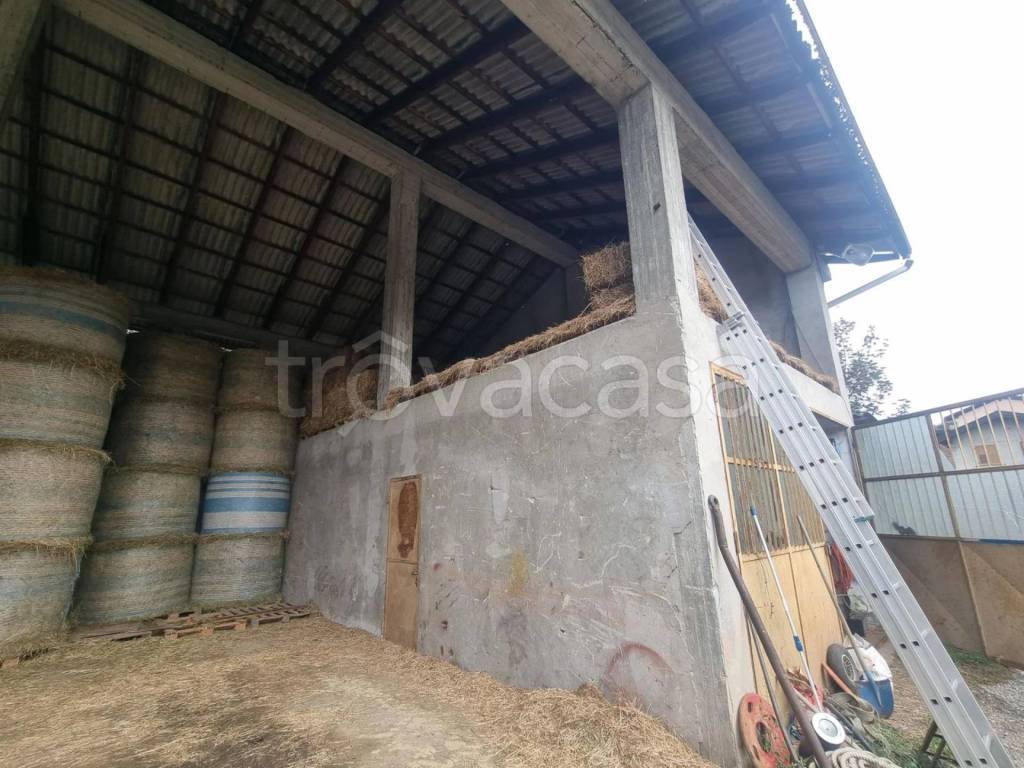 immagine annuncio 8 di 11