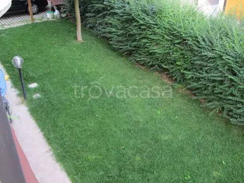 immagine annuncio 1 di 12