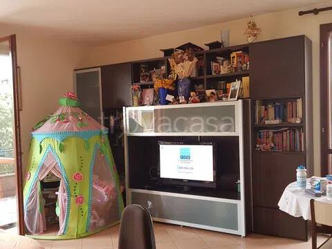 immagine annuncio 2 di 12