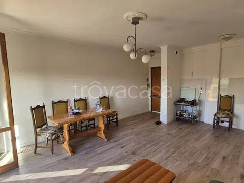 immagine annuncio 12 di 14