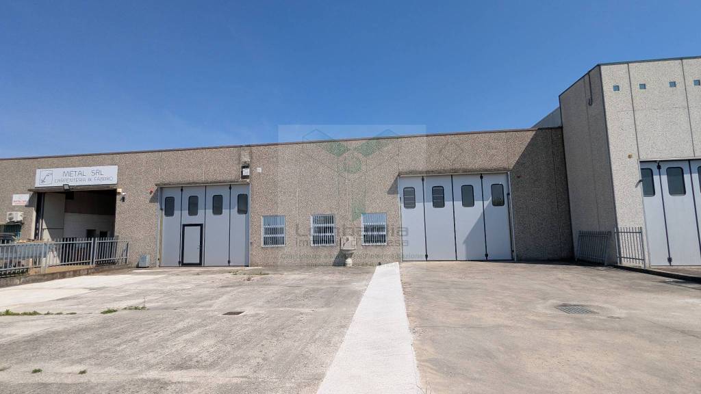 immagine annuncio 3 di 11