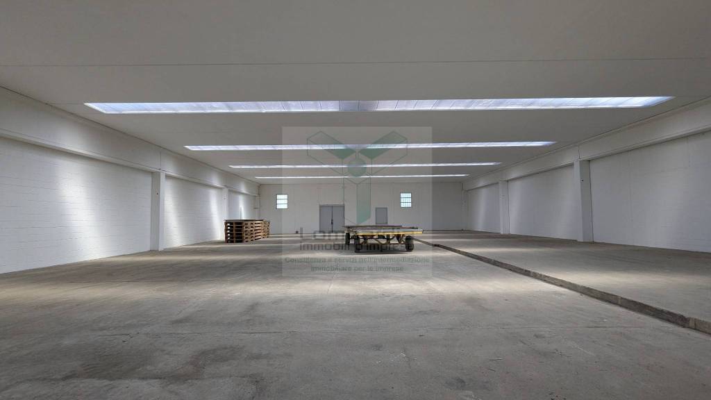 immagine annuncio 6 di 11