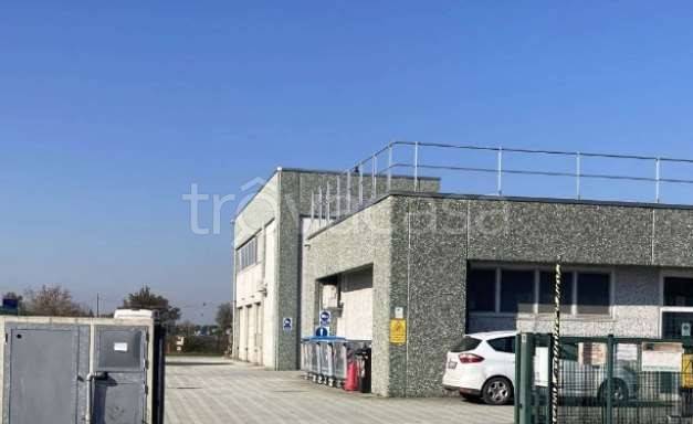 immagine annuncio 1 di 11