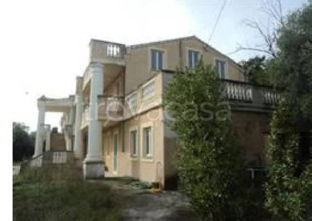 immagine annuncio 12 di 13