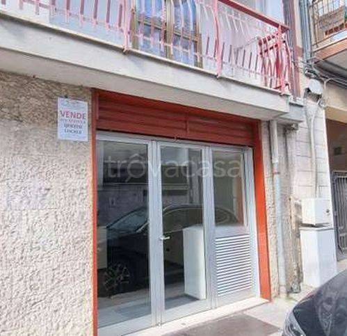 immagine annuncio 10 di 11