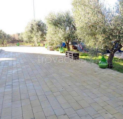 immagine annuncio 5 di 8