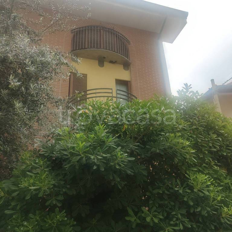 immagine annuncio 5 di 11