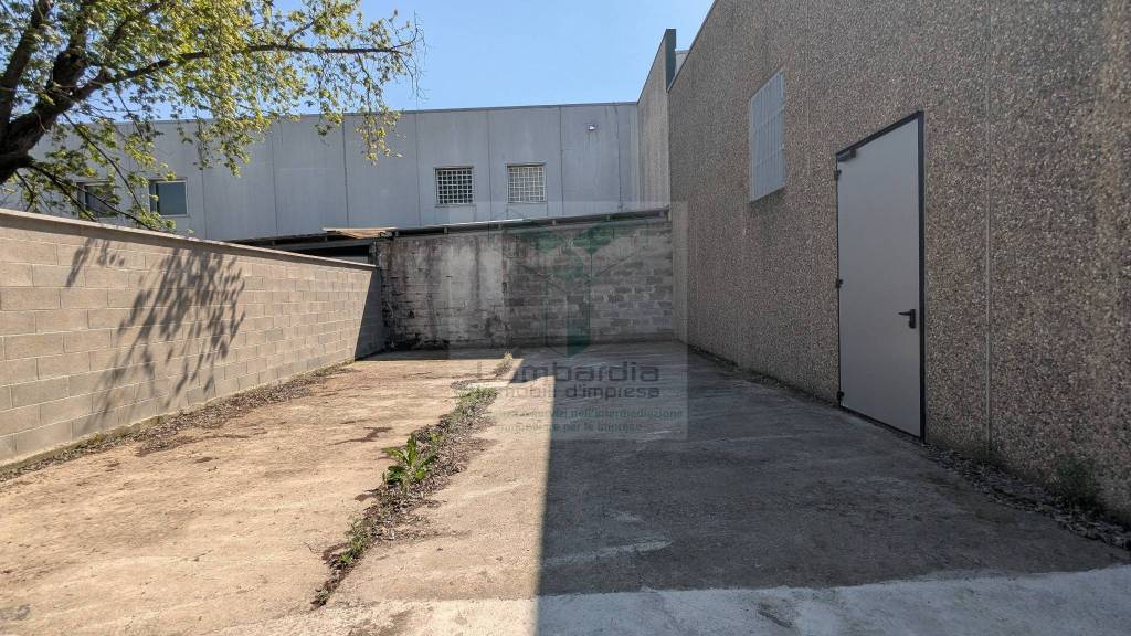 immagine annuncio 9 di 11