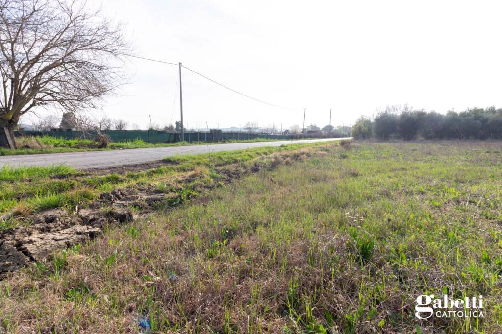 immagine annuncio 1 di 2