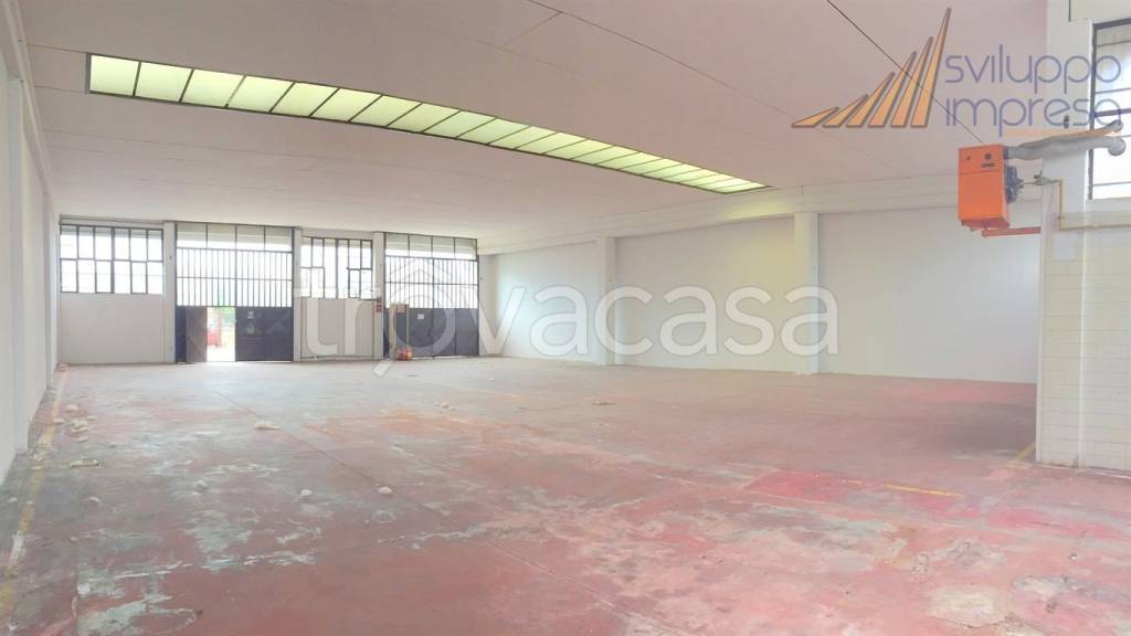 immagine annuncio 1 di 14