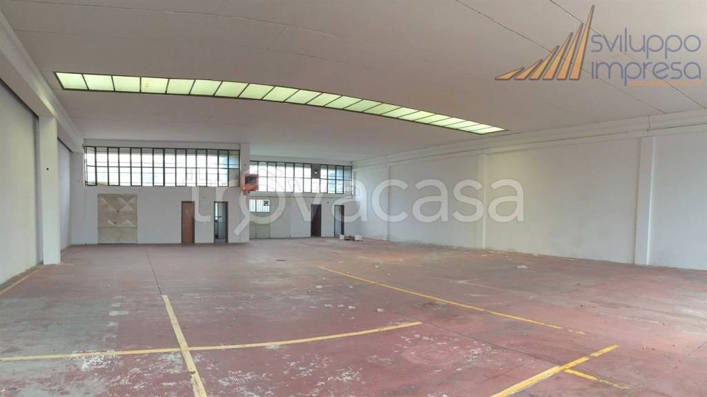 immagine annuncio 2 di 14