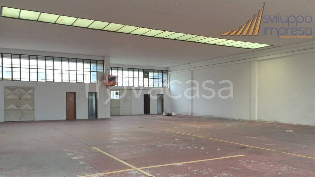 immagine annuncio 4 di 14