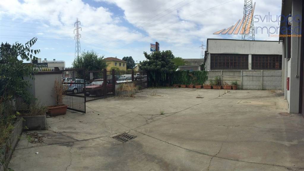 immagine annuncio 5 di 14