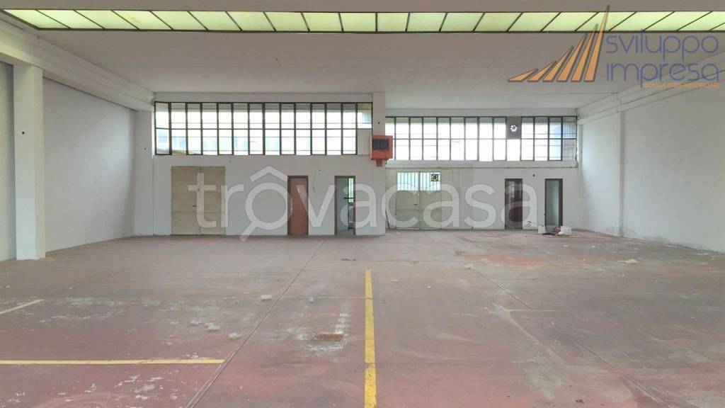 immagine annuncio 7 di 14