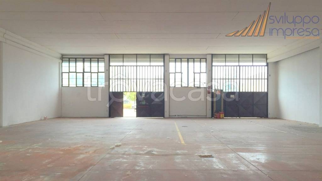 immagine annuncio 11 di 14