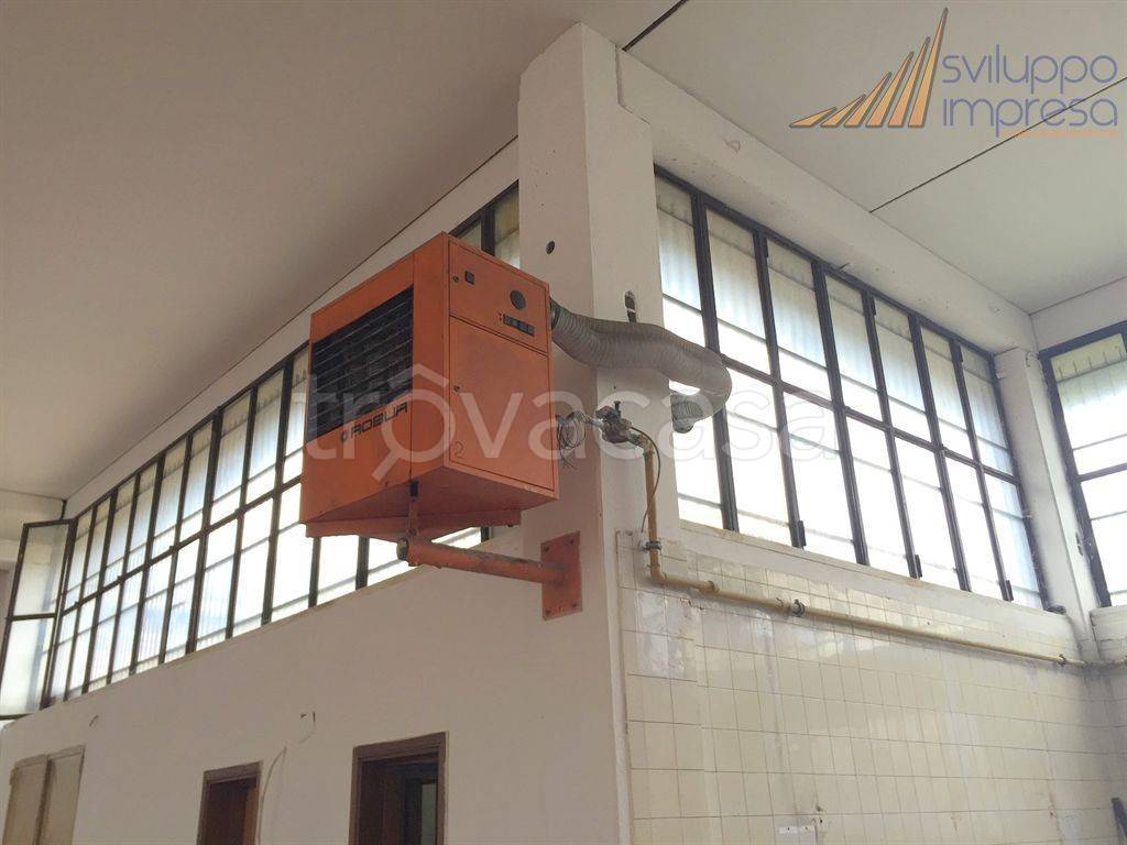 immagine annuncio 12 di 14