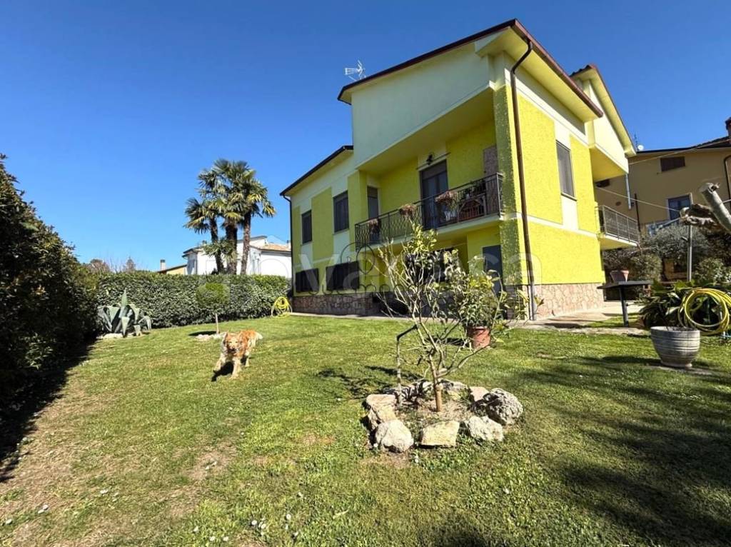 immagine annuncio 2 di 15