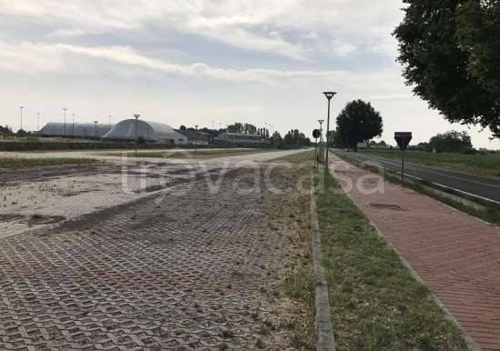 immagine annuncio 2 di 7