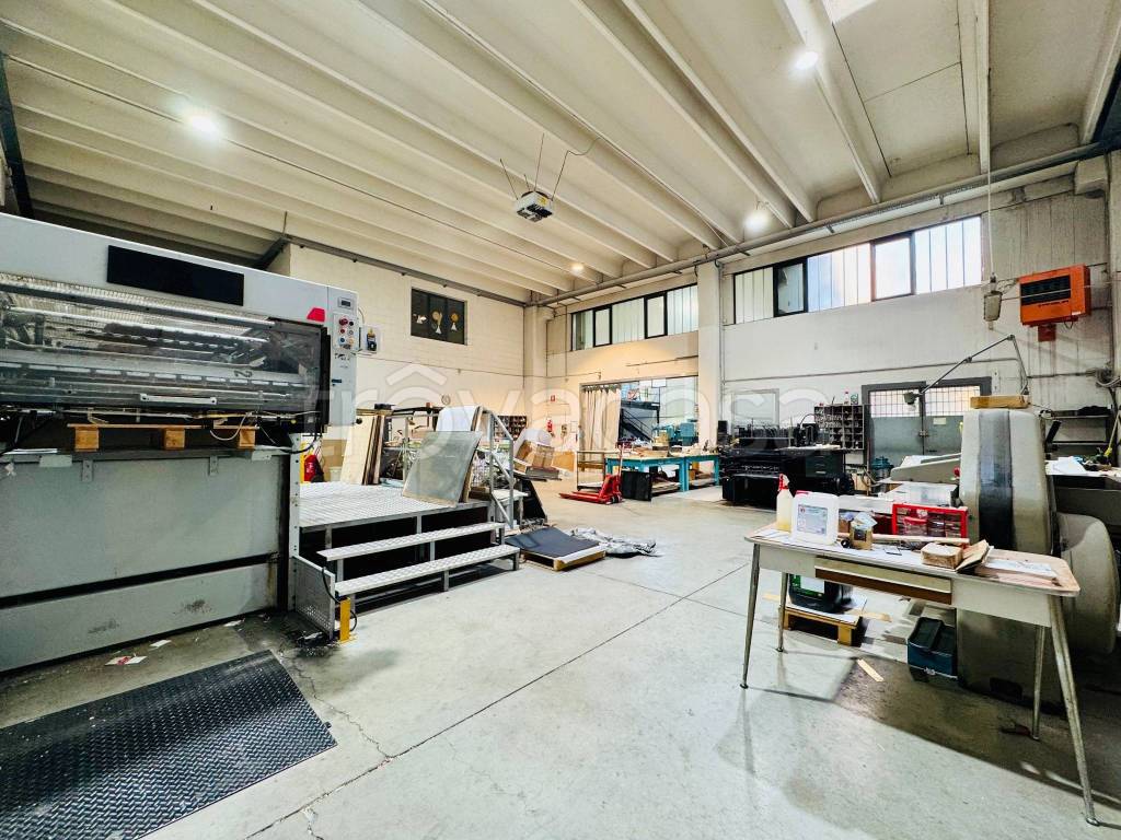 immagine annuncio 9 di 15