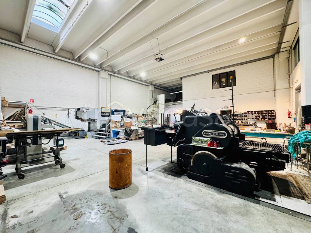 immagine annuncio 8 di 15