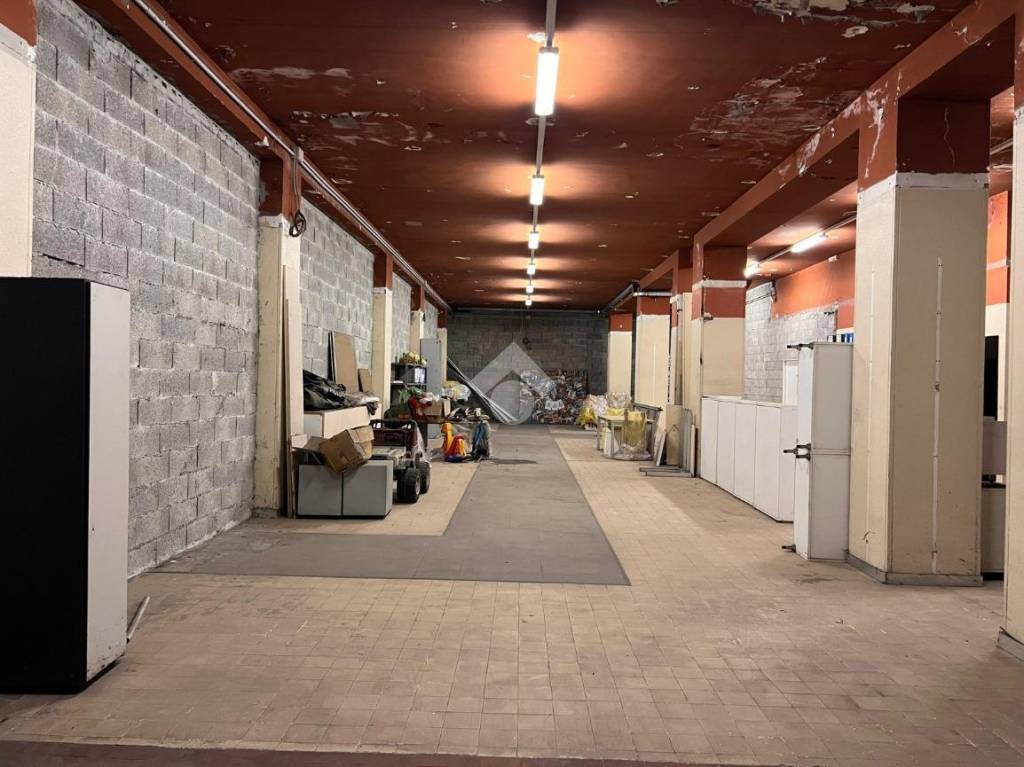 immagine annuncio 2 di 13