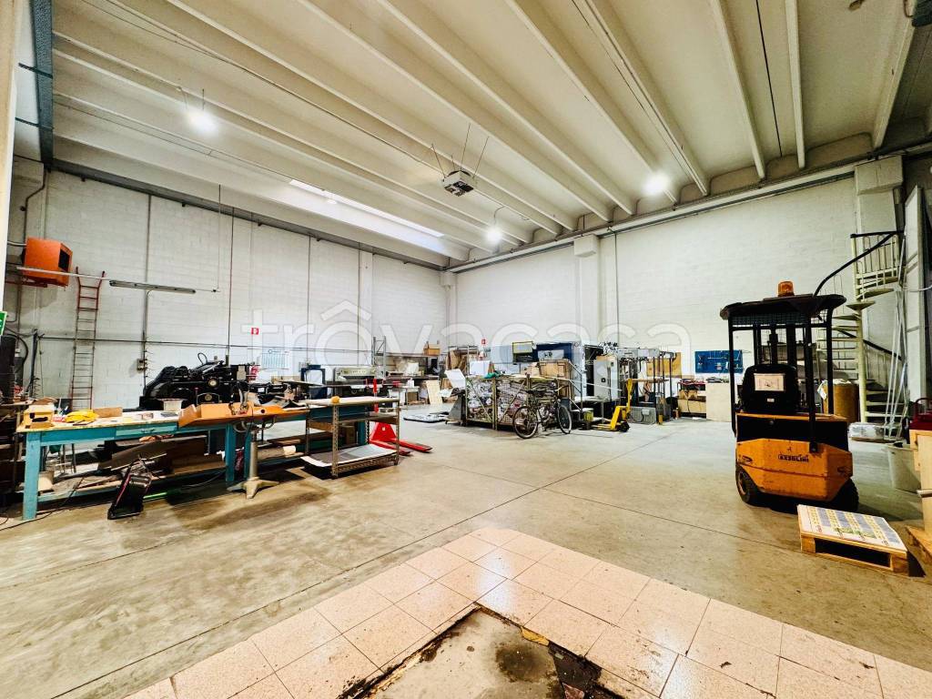 immagine annuncio 7 di 15