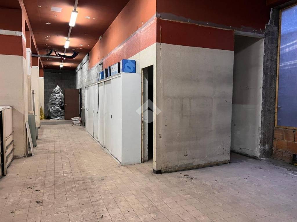 immagine annuncio 5 di 13