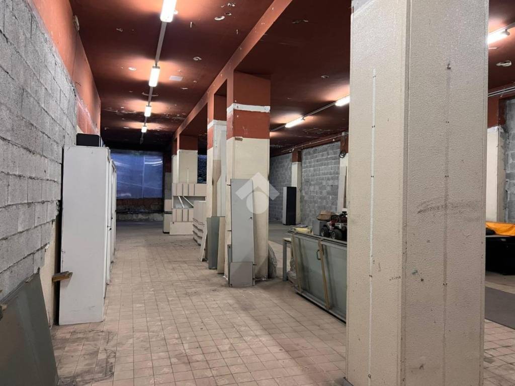 immagine annuncio 7 di 13