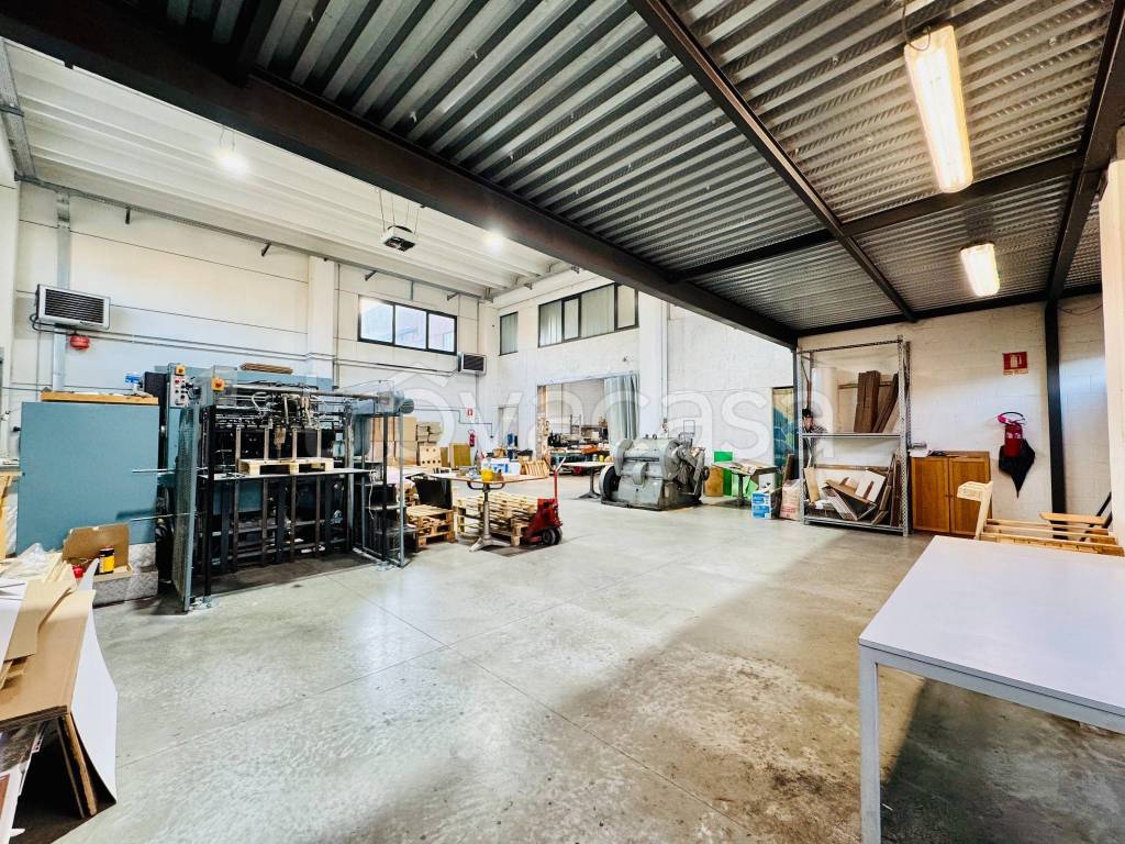 immagine annuncio 5 di 15