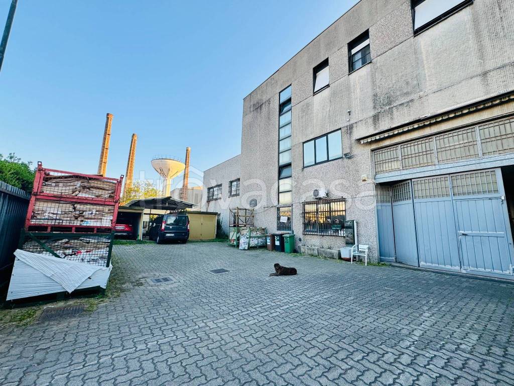 immagine annuncio 3 di 15