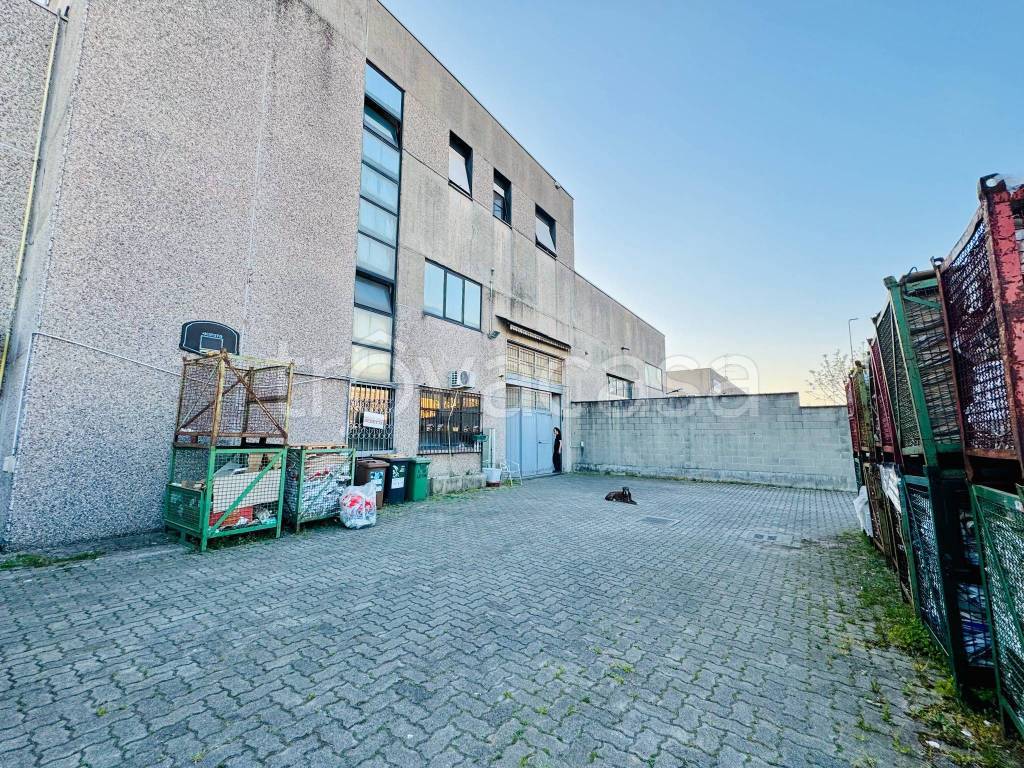 immagine annuncio 2 di 15