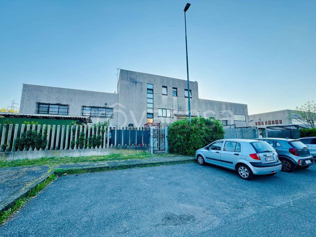 immagine annuncio 1 di 15