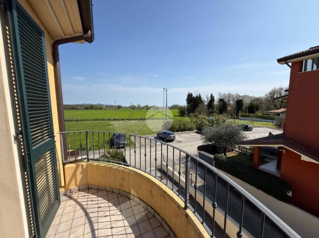 immagine annuncio 6 di 11