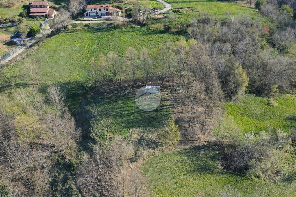 immagine annuncio 2 di 14