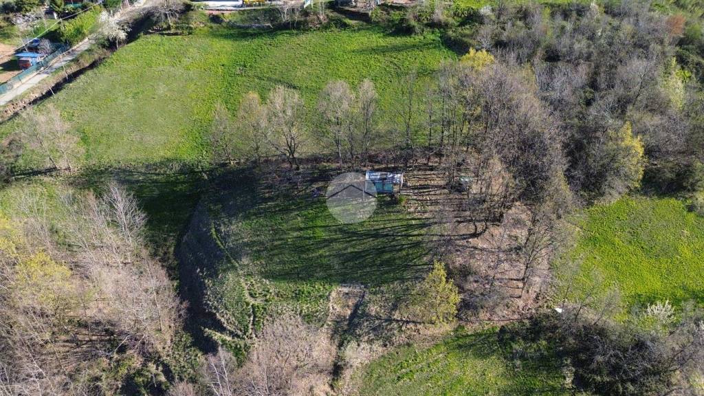 immagine annuncio 6 di 14