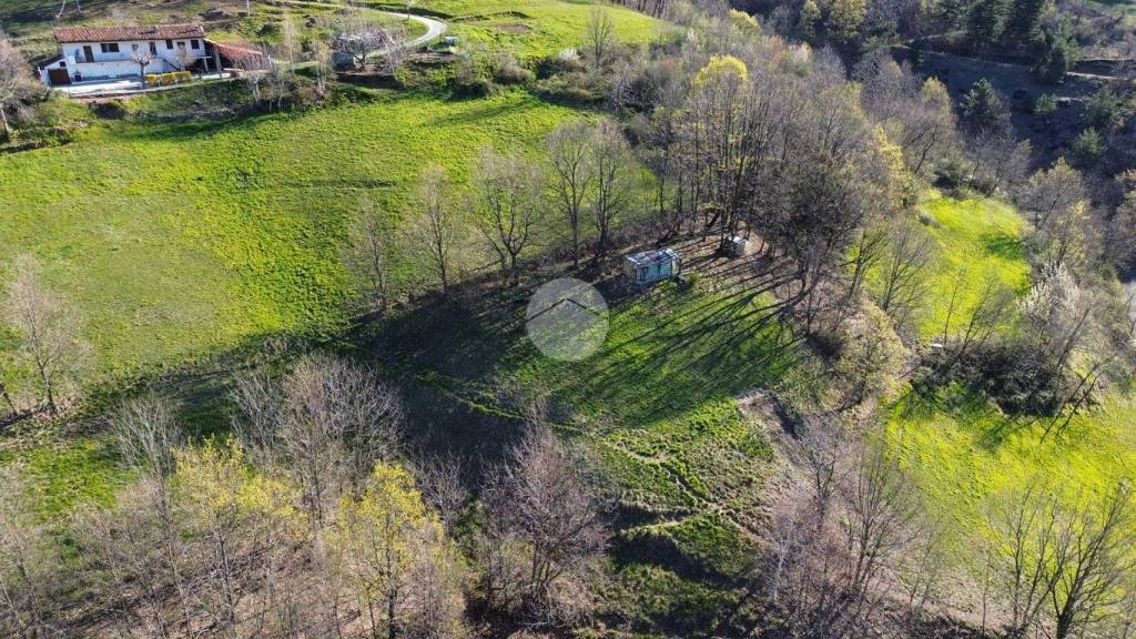 immagine annuncio 10 di 14