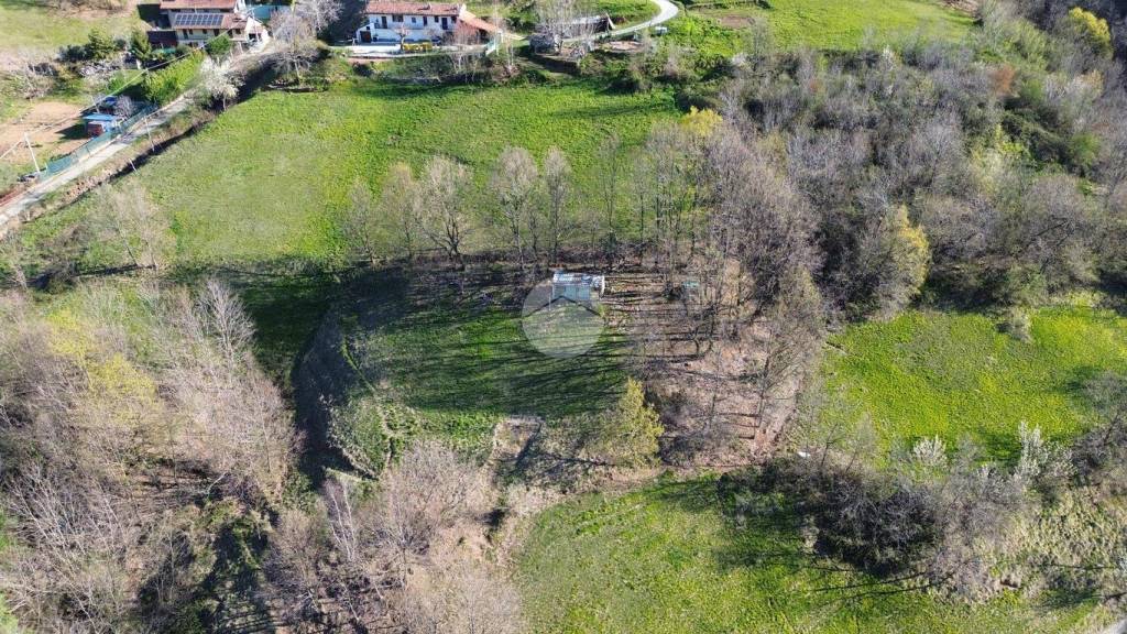 immagine annuncio 11 di 14