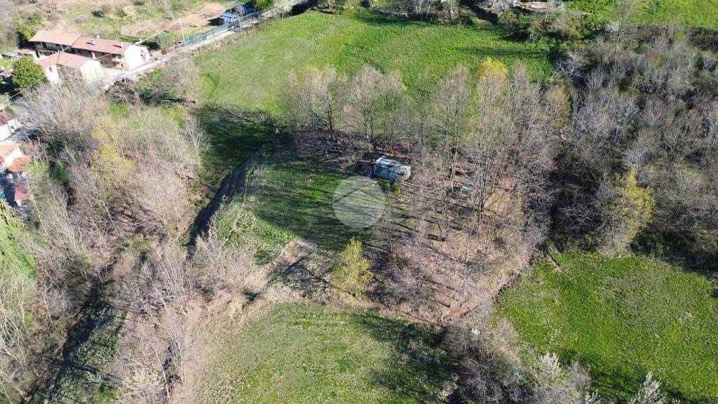 immagine annuncio 12 di 14