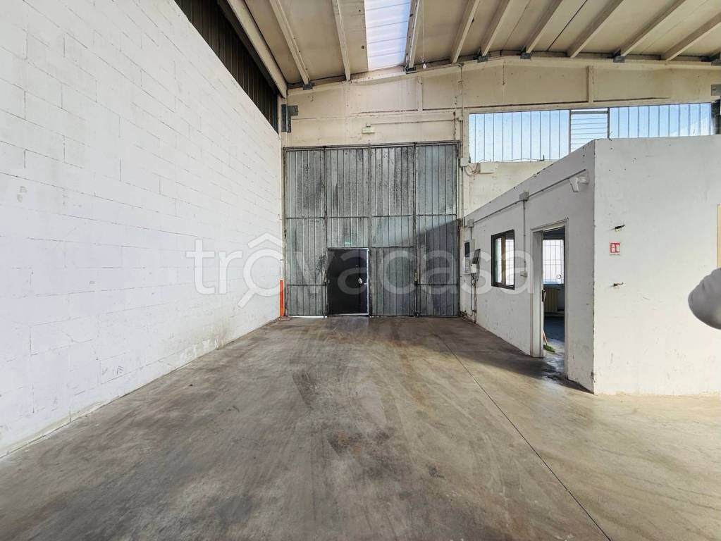 immagine annuncio 4 di 10