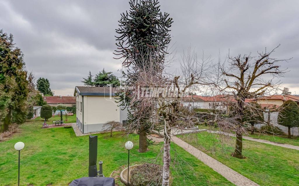 immagine annuncio 9 di 14