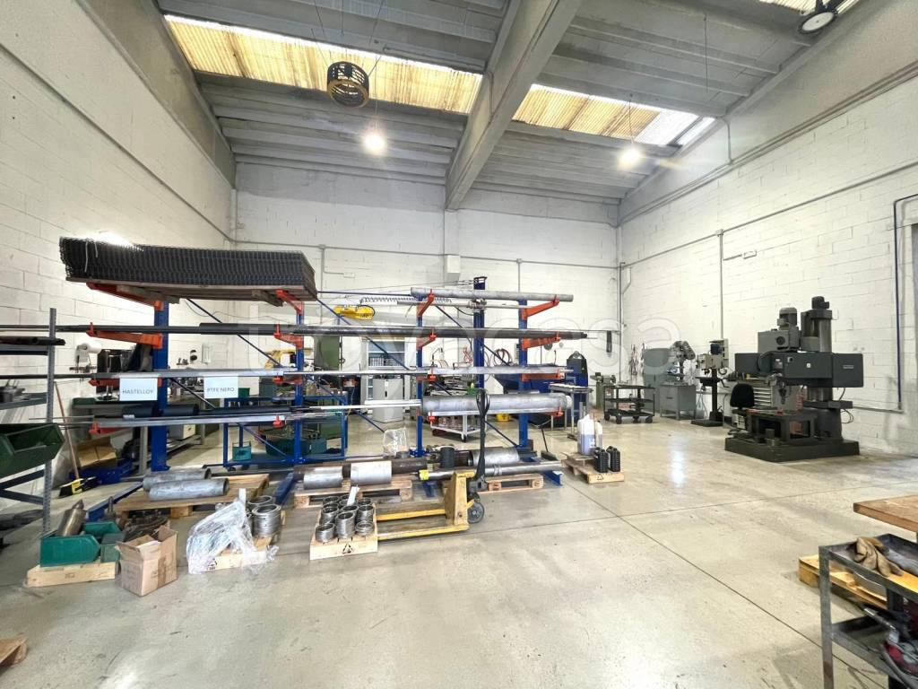 immagine annuncio 6 di 13