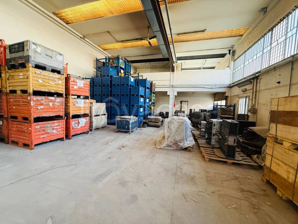 immagine annuncio 5 di 15