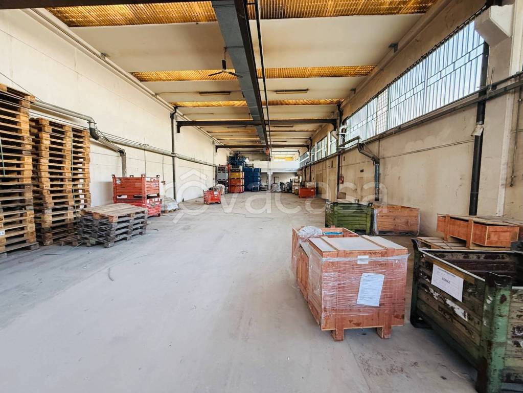 immagine annuncio 6 di 15